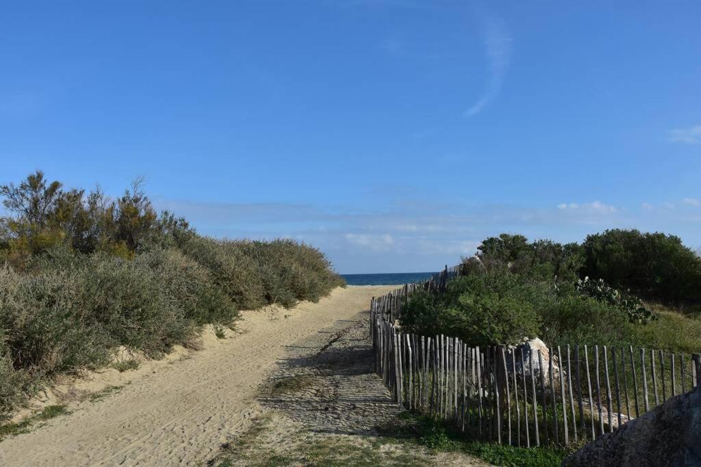 Les Goelettes - Appartement En Rdc Avec Acces Direct A La Plage Saint-Cyprien  Exterior photo