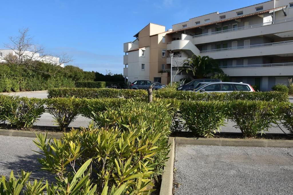 Les Goelettes - Appartement En Rdc Avec Acces Direct A La Plage Saint-Cyprien  Exterior photo