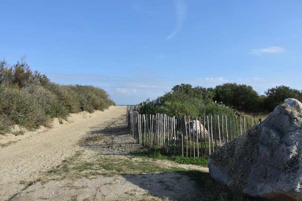 Les Goelettes - Appartement En Rdc Avec Acces Direct A La Plage Saint-Cyprien  Exterior photo