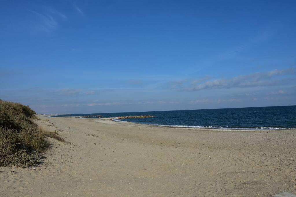Les Goelettes - Appartement En Rdc Avec Acces Direct A La Plage Saint-Cyprien  Exterior photo