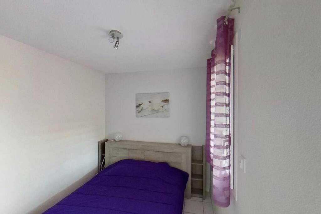 Les Goelettes - Appartement En Rdc Avec Acces Direct A La Plage Saint-Cyprien  Exterior photo